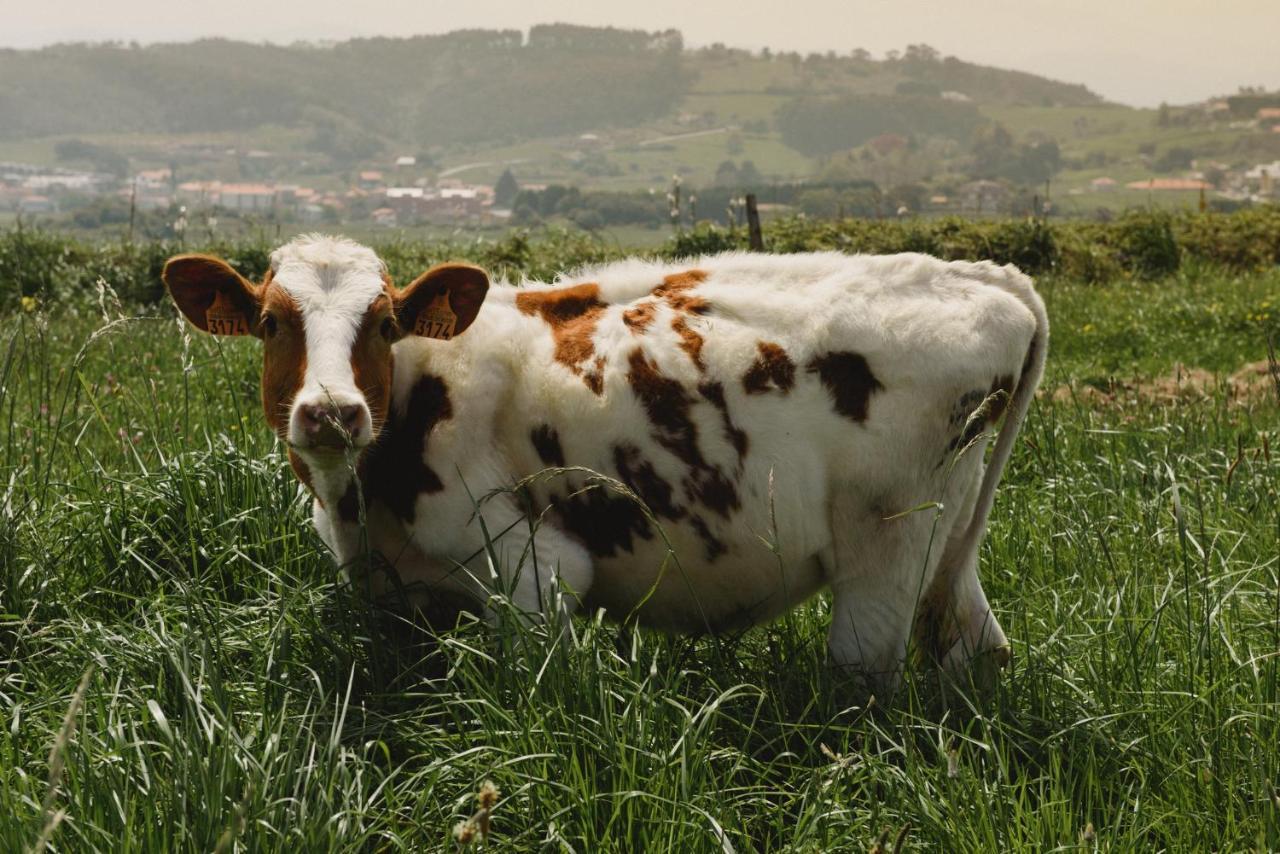 La Joyuca Del Pas Mogro Exterior foto